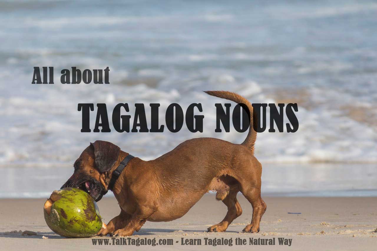 Tycoon in Tagalog  Tagalog words, Tagalog, Nouns